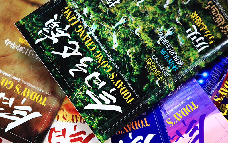 沈陽畫冊(cè)設(shè)計(jì),沈陽畫冊(cè)