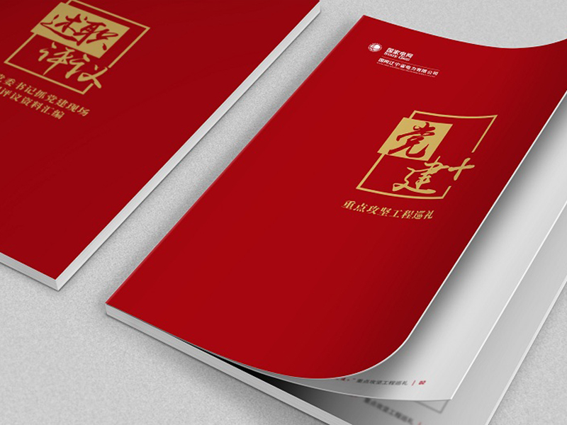 國(guó)網(wǎng)黨建畫冊(cè)設(shè)計(jì)