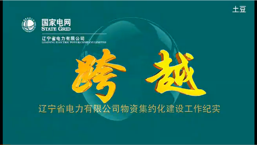遼寧省電力有限公司物資部專題匯報(bào)片