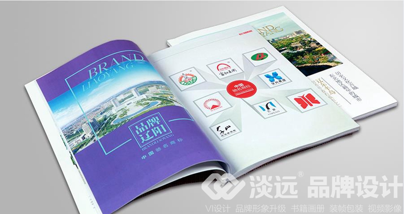沈陽企業(yè)畫冊設計欣賞-品牌遼陽2