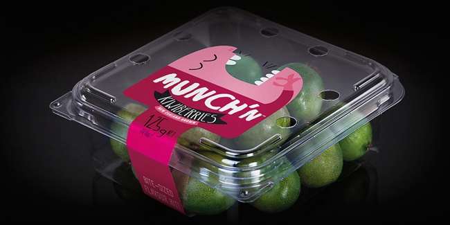 Munchn水果包裝設(shè)計