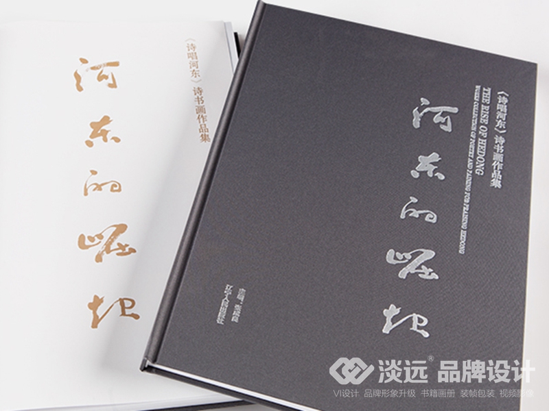 遼陽(yáng)畫冊(cè)設(shè)計(jì)：河?xùn)|的崛起