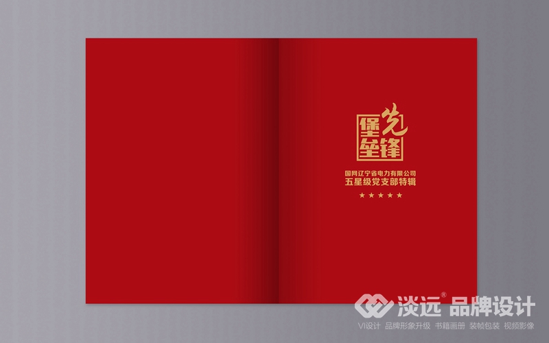 書籍畫冊策劃,國網(wǎng)黨支部匯編手冊
