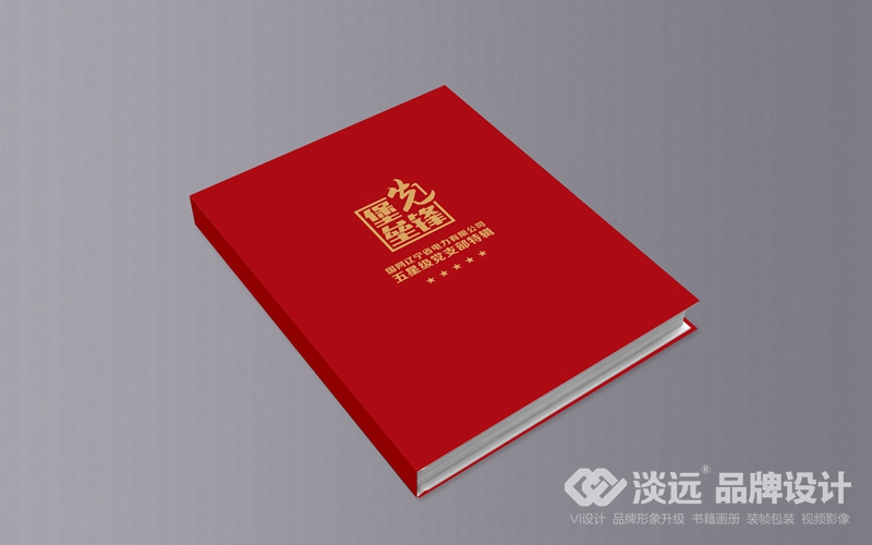 企業(yè)畫冊(cè)設(shè)計(jì),國網(wǎng)黨支部匯編手冊(cè)