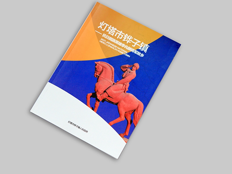 燈塔市鏵子鎮(zhèn)政府畫冊