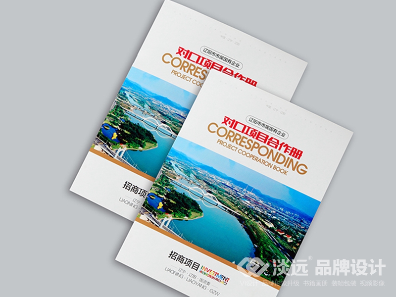 企業(yè)畫冊設計：國資委招商項目冊