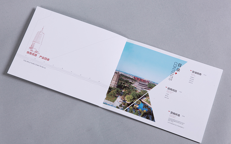遼陽畫冊設(shè)計,白塔區(qū)經(jīng)合局畫冊