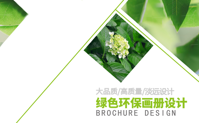沈陽畫冊設計多少錢