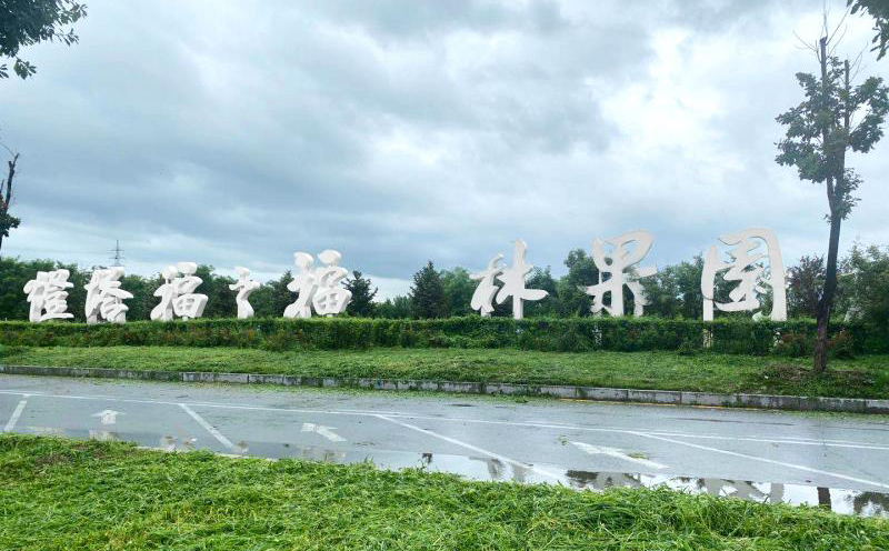 設(shè)計站案例