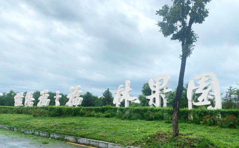 設(shè)計站案例1
