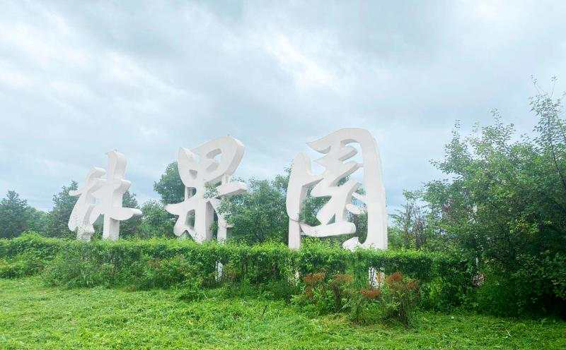 立體字項目4